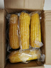 京鮮生東北黃糯玉米棒200g×8根 甜黏玉米 多種包裝隨機(jī)發(fā)貨 源頭直發(fā) 曬單實(shí)拍圖