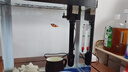 YEE小丑魚飼料海水魚專用魚糧海魚藍(lán)吊魚食小顆粒葷素吊類緩沉魚飼料 【促長發(fā)色】海水魚緩沉專用魚糧200ml/145g *1瓶 曬單實(shí)拍圖