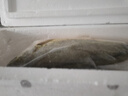 鮮喜利舟山大黃魚(yú)禮盒深海黃花魚(yú)鮮活冷凍生鮮海鮮年貨禮包新鮮水產(chǎn)商用 6條禮盒裝（單條凈重1.4斤） 曬單實(shí)拍圖