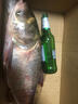 致尊坊鰱鳙小藥酸臭草莓誘魚劑野釣黑坑花白鰱專用浮釣魚餌料開口添加劑 決戰(zhàn)鰱鳙酸臭味【2瓶】 曬單實拍圖