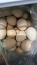 東方甄選雞蛋可生食雞蛋單枚約50g新鮮營(yíng)養(yǎng)早餐溏心蛋生鮮谷物喂養(yǎng)鮮雞蛋 30枚 1.5kg 谷物鮮雞蛋 曬單實(shí)拍圖