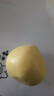 京鮮生 云南西雙版納傣柚1粒裝 單果1000g+ 生鮮水果 源頭直發(fā)包郵 曬單實(shí)拍圖