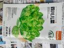 農(nóng)之子 兒菜種子新種四川蔬菜籽大全娃娃菜抱子芥早熟菜種子秋冬 四川兒菜種子 10g/兒芽多 曬單實拍圖