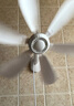 揚子壁扇廚房衛生間免打孔迷你風(fēng)扇家用小型壁掛墻宿舍出租屋靜音 六葉升級壁扇【2張無(wú)痕貼】純銅電機. 標配（自帶1.5米線(xiàn)） 曬單實(shí)拍圖
