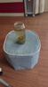 謝裕大春茶綠茶2025新茶黃山毛峰特級明前100g清明嫩尖安徽茶葉自己喝 清明嫩尖100g*1袋 曬單實拍圖