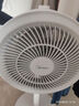 美的（Midea）【暴風(fēng)循環(huán)】空氣循環(huán)扇大風(fēng)量搖頭電風(fēng)扇家用臺(tái)式落地扇輕音臥室節(jié)能小風(fēng)扇柔風(fēng)輕羽扇 FGA24TQ 曬單實(shí)拍圖
