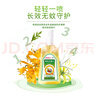 寶寶金水金銀花防蚊液145ml 驅(qū)蚊花露水防叮咬驅(qū)蚊噴霧 基孔肯雅熱 曬單實拍圖