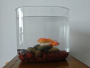 派樂特圓形創(chuàng)意魚缸迷你小型桌面水族箱透明塑料生態(tài)斗魚金魚缸烏龜缸 高透款【29*19*26cm】裸缸 * 曬單實(shí)拍圖
