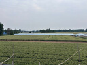 綠巨能（llano）適用索尼zv-e10相機假電池fw50模擬電池a6400 a6000 a6500a7m2 a7s2 a7r2微單直播外接電源適配器 曬單實拍圖