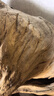 仟湖OF龍魚(yú)飼料套裝龍魚(yú)專(zhuān)用魚(yú)糧魚(yú)食紅龍魚(yú)金龍魚(yú)銀龍魚(yú)增體增艷飼料 G1+G2大粒500g*2罐（各加贈20克） 曬單實(shí)拍圖