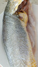 GUO LIAN國聯(lián) 三去黃花魚 2斤共2條國產(chǎn)東海大黃魚 海鮮海產(chǎn)冷凍 曬單實(shí)拍圖
