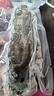久年大連即食海參500g8-12只 遼刺參京東自營 固形物超85% 海鮮盒裝 曬單實拍圖