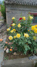 芯園濾芯適用于沁園r701凈水器濾芯qr-rl-701A QYSunny-R701 701A純水機(jī)七級(jí)過(guò)濾適配費(fèi)蘭格等凈水器 QYSunny-R701（全套7支） 曬單實(shí)拍圖