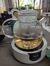 美斯尼 煮茶壺玻璃煮茶器加厚玻璃泡茶壺大容量功夫茶具 穹如壺1900毫升 曬單實(shí)拍圖