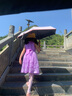 迪士尼女童連衣裙公主裙2024夏季新款演出禮服裙子女孩中大童兩朵花彩條 2朵花公主裙紫色 130 [適合身高1米2左右] 曬單實拍圖