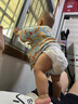 dodie杜迪光感柔嬰兒拉拉褲兒童尿不濕XXL碼28片超薄透氣防紅屁屁 曬單實拍圖