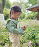 G.DUCKKIDS小黃鴨童裝女夏裝一周歲衣服女寶寶0-3歲嬰兒套裝5小童女孩兩件套 黃色 90 尺碼1~2歲【 80-90cm】 曬單實(shí)拍圖