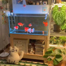 魚缸清洗神器魚缸水質(zhì)凈化劑魚缸凈水劑50年不換水去綠去黃水神器 150ml 1瓶 【魚缸水質(zhì)凈化劑】 曬單實拍圖