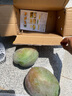 京覓四川攀枝花凱特芒 芒果凈重4.5-5斤單果400g起 新鮮水果源頭直發(fā) 曬單實(shí)拍圖