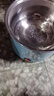 外賣(mài)電煮鍋家用電炒鍋多功能煎炒蒸電火鍋學(xué)生宿舍泡面鍋 單鍋【內(nèi)膽不銹鋼】輕奢綠 曬單實(shí)拍圖
