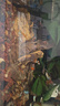 悠梵萌魚(yú)缸松皮石造景石假山天然小塊碎石多孔真石頭盆景5斤5-15cm 曬單實(shí)拍圖
