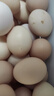 新鮮農(nóng)家谷物鮮雞蛋  現(xiàn)撿現(xiàn)發(fā) 破損包賠 新鮮營(yíng)養(yǎng) 單枚50g-60g 30枚裝 曬單實(shí)拍圖