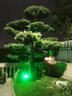 朋科 太陽能燈 照樹燈投射草坪燈超亮戶外公園景觀亮化專用插地射樹燈 50W  綠光  建議安裝樹高2米內(nèi) 曬單實(shí)拍圖