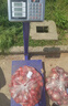 今選（jinxuan）稱重落地電子秤商用臺秤磅秤賣菜電子稱貨物大型工業(yè)用計數(shù)快遞秤 曬單實拍圖