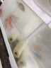 招財(cái)錦鯉魚(yú)觀賞魚(yú) 冷水魚(yú)活魚(yú)招財(cái)魚(yú)好養(yǎng)耐活 風(fēng)水富貴魚(yú) 精品錦鯉隨機(jī)多種顏色10條 10-13厘米 曬單實(shí)拍圖