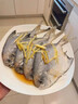 戀品惠大白鯧魚新鮮海捕特大號銀鯧魚白鯧魚無冰衣清蒸紅燒平魚海鮮生鮮 新鮮大白鯧 2條（8兩-1斤/條） 曬單實拍圖