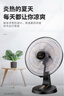 鉆石牌（DIAMOND）電風(fēng)扇臺扇家用臺式桌面風(fēng)扇大風(fēng)力宿舍辦公室臥室電扇客廳落地扇節(jié)能輕音學(xué)生搖頭 FT-30-A五葉機(jī)械（14英吋）四檔 曬單實拍圖