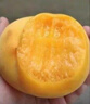 京覓山東蒙陰黃金油桃凈重4.5斤中大果單果125g+生鮮水果源頭直發(fā)包郵 曬單實拍圖
