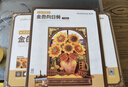 若物積木花DIY手工制作立體拼圖拼裝模型兒童生日禮物女孩 金色向日葵 曬單實拍圖