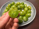 山東青甜2號綠色小番茄脆甜多汁青口蜜千禧果圣女果現(xiàn)摘現(xiàn)發(fā)新鮮 5斤 精選裝【京東快遞】 曬單實拍圖