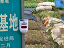 科霄貨車(chē)報(bào)警器太陽(yáng)能戶(hù)外紅外聲光報(bào)警器人體感應(yīng)門(mén)窗防盜挖機(jī)盲區(qū) 太陽(yáng)能打孔款-聯(lián)系客服定制語(yǔ)音 曬單實(shí)拍圖