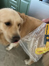 拉夫威爾ruffwear嗨輕狗狗胸背帶狗背帶中小型犬雪納瑞背帶式狗狗牽引繩 苔蘚綠 L/XL 曬單實(shí)拍圖