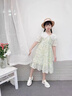 紛資言女童夏季碎花連衣裙2025新款女大童洋氣清新學(xué)院風(fēng)裙子小女孩夏裝 110碼建議身高100cm左右 均碼 雙領(lǐng)連衣裙 曬單實(shí)拍圖