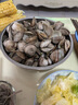 鮮京采 鮮活美貝 17-22粒/斤 凈重5斤 蛤蜊花蛤生鮮海鮮 源頭直發(fā) 曬單實(shí)拍圖