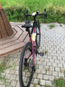 喜德盛（xds）xds ad350喜德盛ad350公路車喜德盛公路車公路自行車喜德盛自行車 2025款|車?yán)遄?700Cx450mm|身高155-165cm 曬單實(shí)拍圖