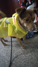 歡寵網(wǎng)狗狗雨衣全包四腳寵物狗小狗大型犬柯基雨披雨天遛狗防水防濕護(hù)肚 曬單實(shí)拍圖