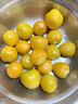 京配嘉果東北姑娘果黃菇娘果當季水果甜燈籠果菇鳥(niǎo)兒應季黃金豆水果禮盒 1斤精選裝（無(wú)禮盒） 曬單實(shí)拍圖