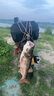 威拓森（weituosen）新款鰱鳙專用鉤釣組浮釣鰱鳙水怪釣籠翻板鉤魚鉤方塊爆炸鉤高檔 可收納鰱鳙鉤【不帶籠款4付 15號(hào) 曬單實(shí)拍圖