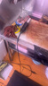 卡洛特電動(dòng)刮魚鱗器殺魚神器全自動(dòng)魚鱗刨刮器打魚鱗器電動(dòng)防水去魚鱗器 電動(dòng)刮魚鱗器【插電款】 曬單實(shí)拍圖