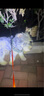 EZYDOG澳洲進(jìn)口秒穿舒適胸背大中小型犬防爆沖胸背帶嗨輕防掙脫柴犬邊牧 森林迷彩 S【體重7-15kg | 胸圍52-66cm】 曬單實(shí)拍圖