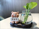 OEMG花瓶玻璃插花水養(yǎng)鮮花植物水培器皿花器辦公室桌面解壓擺件裝飾品 【水培花瓶1個(gè)】單瓶 曬單實(shí)拍圖