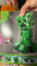 樂高（LEGO） 積木拼裝我的世界21276 苦力怕男孩女孩兒童玩具生日禮物  曬單實(shí)拍圖