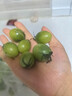 青口蜜圣女果綠色青甜2號小番茄新鮮綠千禧即食山東小柿子果生吃 2斤 精選裝【京東快遞】 曬單實拍圖