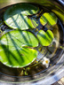 采緹（CAITI）一葉蓮 碗蓮水生花卉水培植物室內陽(yáng)臺四季開(kāi)花盆栽魚(yú)缸浮生蓮花 一葉蓮【15cm 】6片 曬單實(shí)拍圖