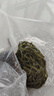 清鮮時(shí)光 鹽漬海帶絲長(zhǎng)絲 3斤凈重  源頭直發(fā)包郵 新鮮昆布絲火鍋涼拌燉煮 曬單實(shí)拍圖