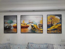 鈴桐客廳裝飾畫(huà)現代沙發(fā)背景墻掛畫(huà)大氣晶瓷畫(huà)三聯(lián)畫(huà)壁畫(huà)墻畫(huà) A 邊40*60中80*60PS款 曬單實(shí)拍圖